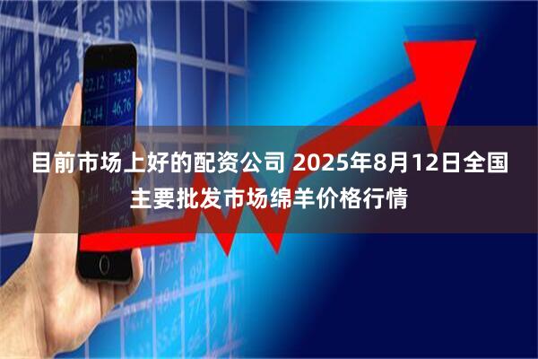 目前市场上好的配资公司 2025年8月12日全国主要批发市场绵羊价格行情