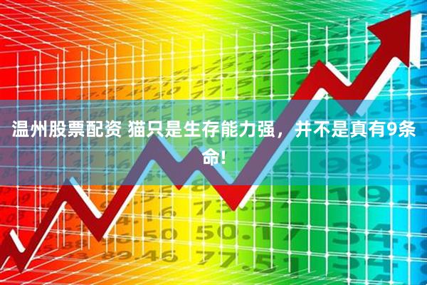温州股票配资 猫只是生存能力强，并不是真有9条命!